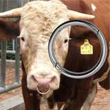 Maxbell Cattle Nose Ring Smooth Husbandry Accessory Durable for Supplies Accessories M