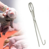 Maxbell Livestock Pig Midwifery Plier Tool Stainless Steel for Goat Cow Multipurpose