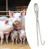 Maxbell Livestock Pig Midwifery Plier Tool Stainless Steel for Goat Cow Multipurpose