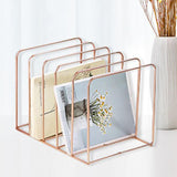 Maxbell Magazine Newspaper Holder Office File Organizer for Magazine Book Decoration Black