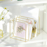 Maxbell Magazine Newspaper Holder Office File Organizer for Magazine Book Decoration Gold