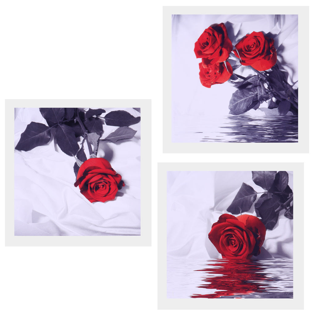 Maxbell 3 Panel Oil Print Painting on Canvas, Rose In Water, Wall Artwork Pictre Painting for Living Room Bedroom Decor