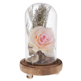 Maxbell Glass Display Cloche Bell Dome Flower Immortal Preservation Vase Light Pink