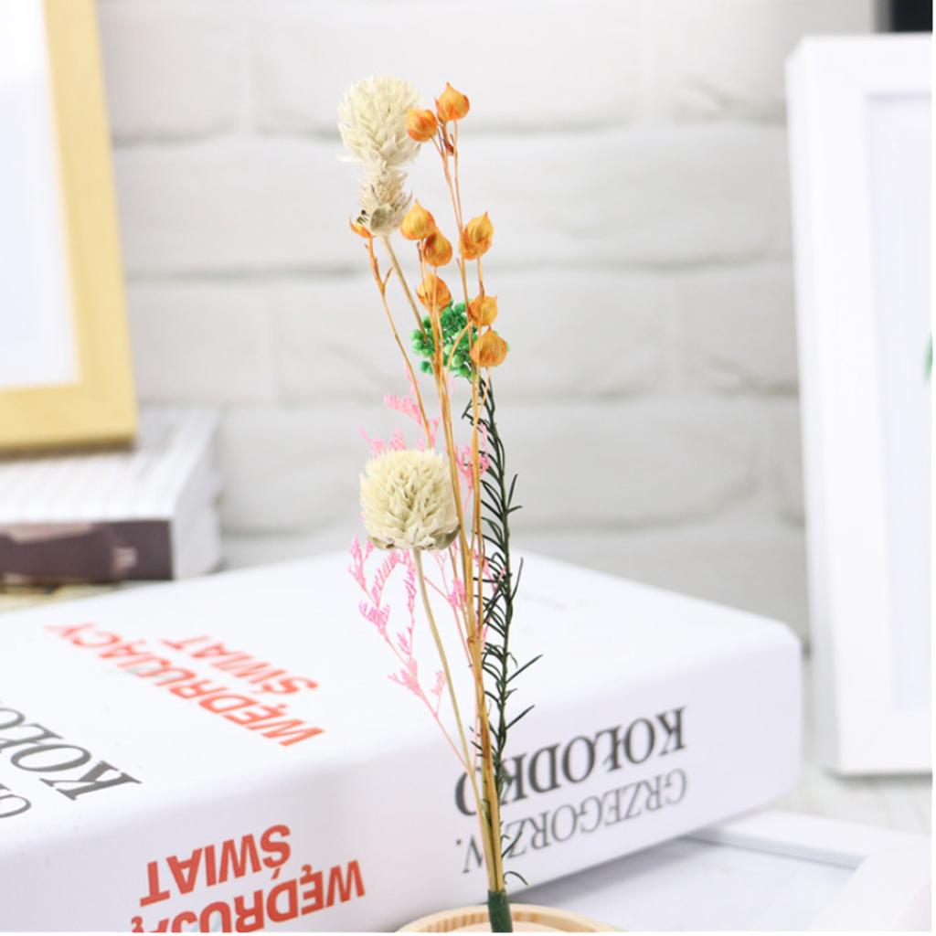 Maxbell Romantic Dried Flower Plant Ornament Micro Landscape Glass Cover White