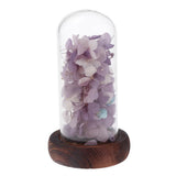 Max Wedding Preserved Hydrangea Flower Glass Display Valentines Gifts Purple