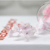 Max Wedding Preserved Hydrangea Flower Glass Display Valentines Gifts Purple
