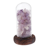 Max Wedding Preserved Hydrangea Flower Glass Display Valentines Gifts Purple