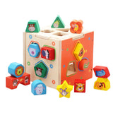 Max Colorful Wooden Shape Sorting Cube Early Development Toys for Kids Toddler