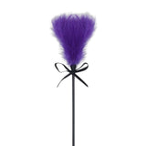 Maxbell French Feather ticklers whips floggers Games Teaser Soft for Lovers Pets Night Violet