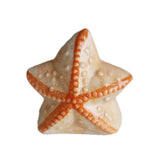 Ceramic Salt and Pepper Shakerr - Cute Starfish Shape Spice Container Seasoning Spice Tool Wedding Favor - Aladdin Shoppers