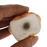 Ceramic Salt and Pepper Shakerr - Cute Starfish Shape Spice Container Seasoning Spice Tool Wedding Favor - Aladdin Shoppers