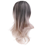 Heat Resistant Fiber Hair Dark Root Ombre Synthetic Lace Front Wig for Women - Aladdin Shoppers