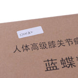 Human Pathological Knee Joint Health Lesion Comparison Skeleton Model Set Lab Equipment Educative - Aladdin Shoppers