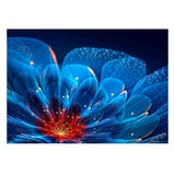 Maxbell DIY Diamond Painting Embroidery Paint By Number Kits Lotus Flower