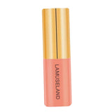 Maxbell 3.5g Natural Moisturizing Velvet Lip Gloss Waterproof Liquid Lipsticks 02