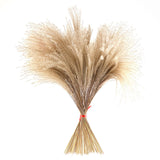 Maxbell Dried Pampas Grass Reeds Flower Floral Arrangements for Table Centerpiece