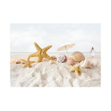 Max Aquarium 3D Background Sticker Fish Tank Backdrop Adhesive Poster 61x41cm