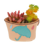 Maxbell Umbrella Coin Purse Resin Flower Pot Succulent Cacti Plant Container Planter