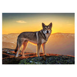 Maxbell DIY Diamond Painting Embroidery Paint By Number Kits Animal