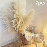 Maxbell Long Dried Pampas Grass Decor for Vase Fluffy bouquet Arrangement