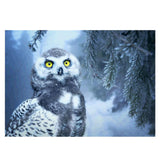 Maxbell DIY 5D Diamond Embroidery Painting Cross Stitch Art Kit Home Decor Owl