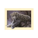 Maxbell Animal DIY 5D Diamond Painting Embroidery Cross Crafts Stitch Kit Leopard 2