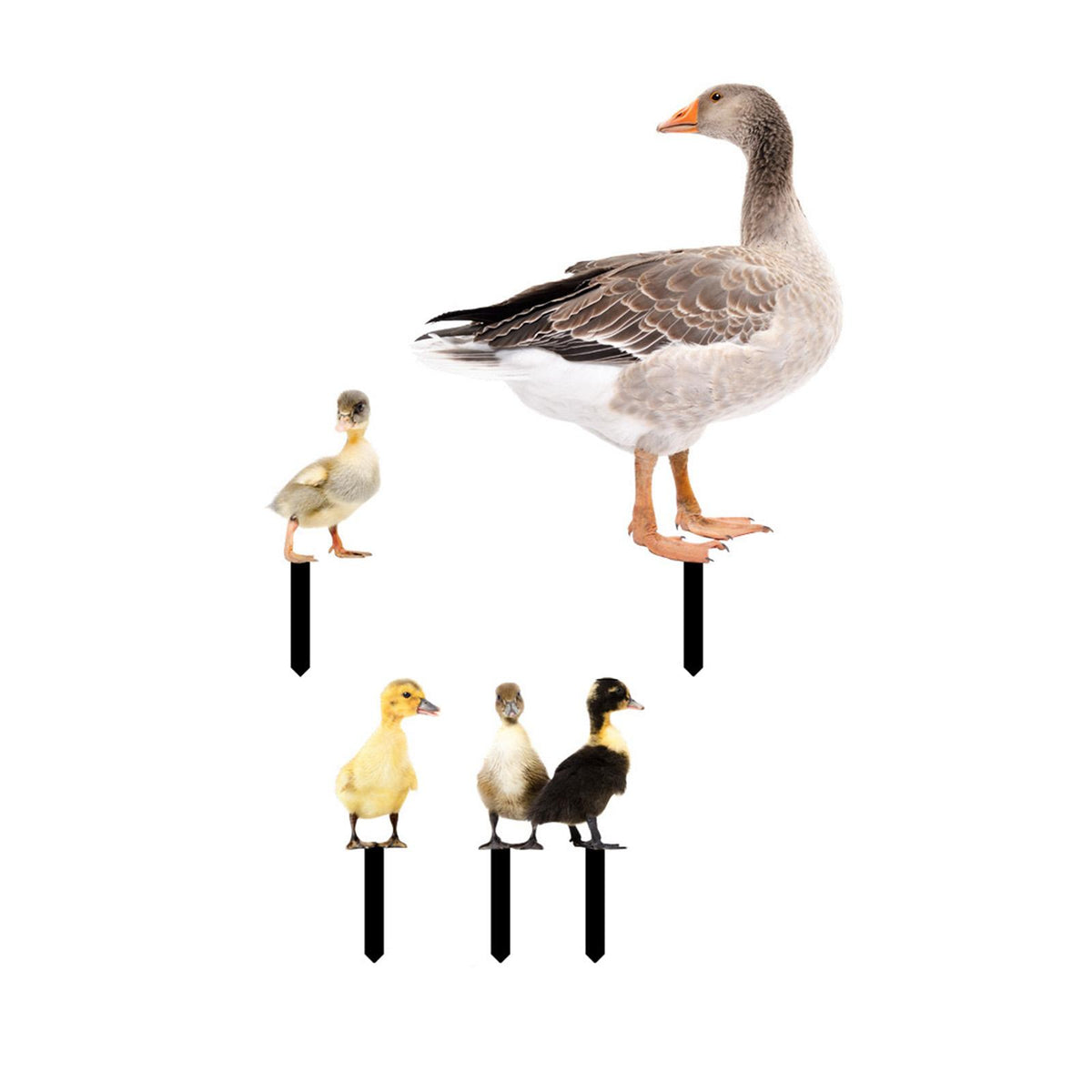Maxbell 5Pcs Duck Animal Statue Stakes Acrylic Garden Stakes for Backyard Yard Decor