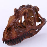 Maxbell Dinosaur Ceratosaurus Skull Replica Skeleton Model Aquarium Ornament Decor