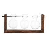 Maxbell Terrarium Glass Planter with Wooden Stand Wall Mountable for Tabletop Office