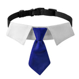 Maxbell Modern Dogs Collar Walking Traveling Pets Gifts Boys Girls Dogs Pet Bow Tie Blue