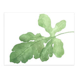 Maxbell Green Plant Canvas Oil Painting Picture Unframed Wall Art  fig leaves M