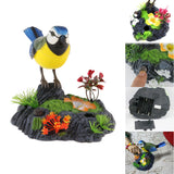 Max Singing Chirping Bird Toy Realistic Sounds & Movements  Sound Activated Bird