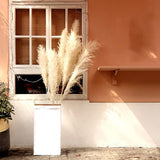 Maxbell White Dried Pampas Grass Natural Dried for Party Wedding Decor Vase 6pcs Large