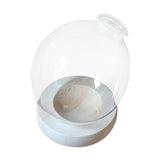 Maxbell Hydroponic Plant Pot Home Desk Desktop Glass Planter for Shelf Patio Balcony Clear