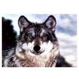 Maxbell DIY 5D Diamond Painting Embroidery Cross Stitch Kit 40x30cm Wild Wolf