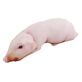 Maxbell Cute Piggy Stuffed Animal Doll Toy for Room Decoration Valentine Gifts Pink 50cm