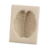 Maxbell Silicone Fondant Molds DIY Resin Chocolate Mold for Baking Brain Light Gray