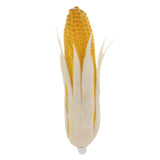 Maxbell Artificial Lifelike Fake Food Vegetable White Corn