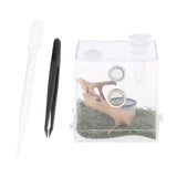 Maxbell Reptile Breeding Box Wide Range of Applications Insect Box for Pet Supplies L