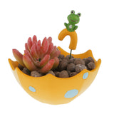 Maxbell Garden Planter Succulent Cacti Pot Box Plant Resin Bed Case-Umbrella Shape