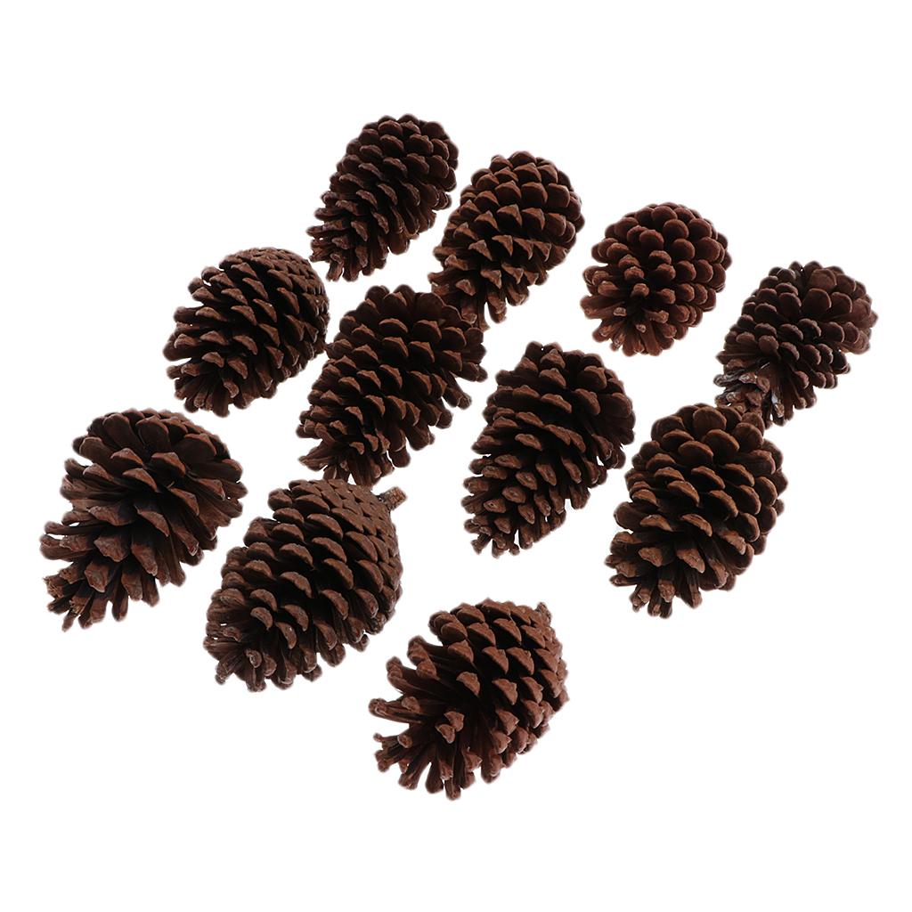 Maxbell 10pcs Pine Cones Baubles Hanging Christmas Tree Holiday Decoration B 8-10CM