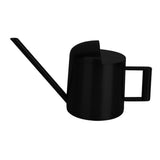 Maxbell Stainless Steel Mini Watering Cans 300ml for Watering Home Office Desk