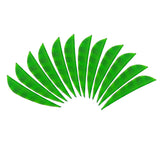 Max 12pcs 4inch Archery Feathers Fletches Right Wing Parabolic Fluorescent Green