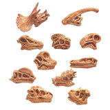 Maxbell Dinosaur Skull Model Simulated Fossil Home Decor Decrative Teaching Prop light brown