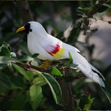 Maxbell Artificial Bird Feathered Realistic Sparrow Home Garden Decor Ornament 2
