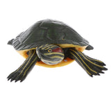 Maxbell Simulation Animal Model Figure Toys Figurine Decor Trachemys scripta elegans