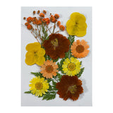 Maxbell Dried Flowers Crafts Multipurpose for Table Decorations Furniture Phone Case Orange yellow