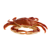 Maxbell Artificial PVC Crab Simulation Seafood Crab Decoration Soft and Realistic