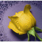 Maxbell 5D DIY Diamond Painting Rose Embroider Cross Stitch Craft Home Decor Charms Ornament Gift Yellow