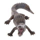 Maxbell Kids Story Telling Animal Figure Showcase Display Model Educational Toy - Large Crocodile